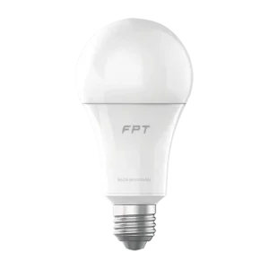 1668509155 PTS LED Bulb 1