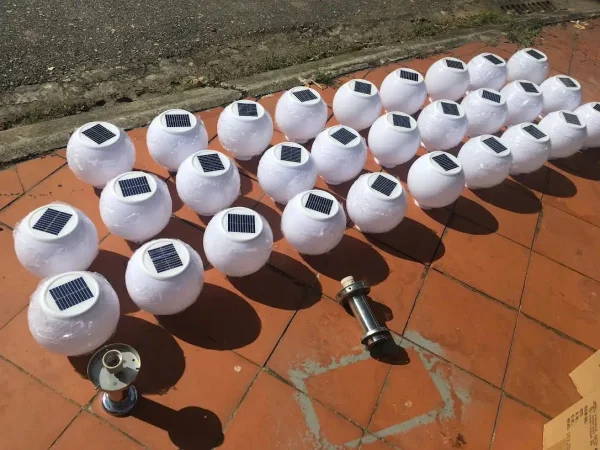 z6606677121061 94e0ac1acac316767166348482e86211